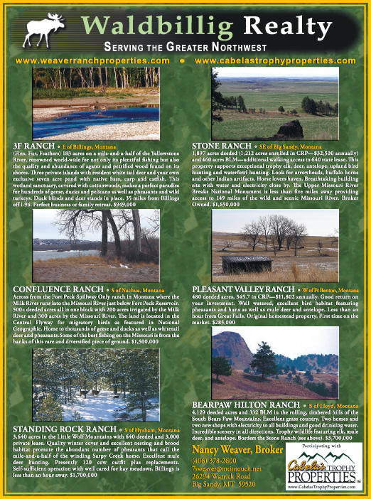 April 2007 Waldbillig Realty
									<br>
									Page 04
									&nbsp;&nbsp;&diams;&nbsp;&nbsp;
									7&frac14;"W x 9&frac34;"H<br>
									100# Coated Text Stock