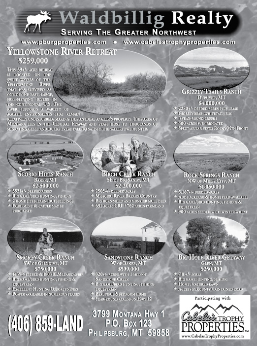 April 2007 Waldbillig Realty
									<br>
									Page 07
									&nbsp;&nbsp;&diams;&nbsp;&nbsp;
									7&frac14;"W x 9&frac34;"H<br>
									100# Coated Text Stock