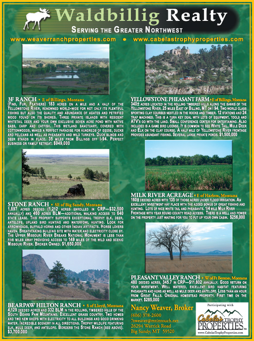 June 2007 Waldbillig Realty
									<br>
									Page 06
									&nbsp;&nbsp;&diams;&nbsp;&nbsp;
									7&frac14;"W x 9&frac34;"H<br>
									100# Coated Text Stock