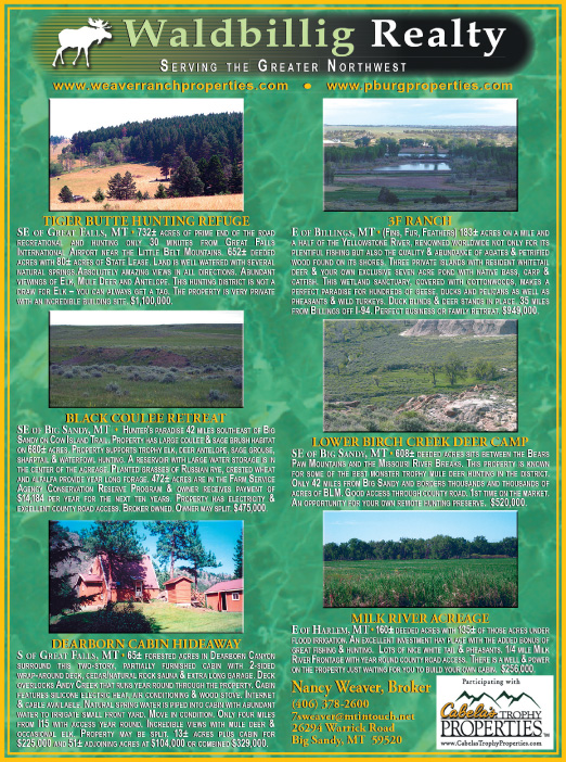August 2007 Waldbillig Realty
									<br>
									Page 06
									&nbsp;&nbsp;&diams;&nbsp;&nbsp;
									7&frac14;"W x 9&frac34;"H<br>
									100# Coated Text Stock