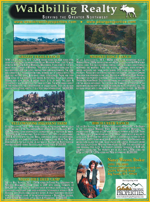 August 2007 Waldbillig Realty
									<br>
									Page 07
									&nbsp;&nbsp;&diams;&nbsp;&nbsp;
									7&frac14;"W x 9&frac34;"H<br>
									100# Coated Text Stock