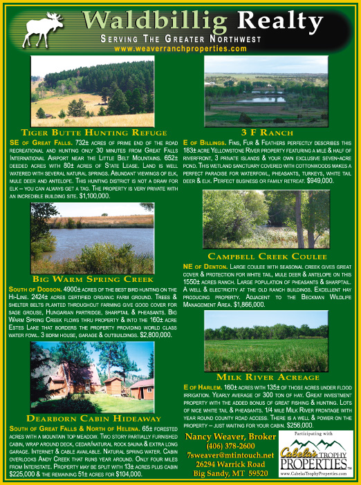 October 2007 Waldbillig Realty
									<br>
									Page 06
									&nbsp;&nbsp;&diams;&nbsp;&nbsp;
									7&frac14;"W x 9&frac34;"H<br>
									100# Coated Text Stock