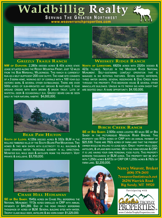 October 2007 Waldbillig Realty
									<br>
									Page 07
									&nbsp;&nbsp;&diams;&nbsp;&nbsp;
									7&frac14;"W x 9&frac34;"H<br>
									100# Coated Text Stock