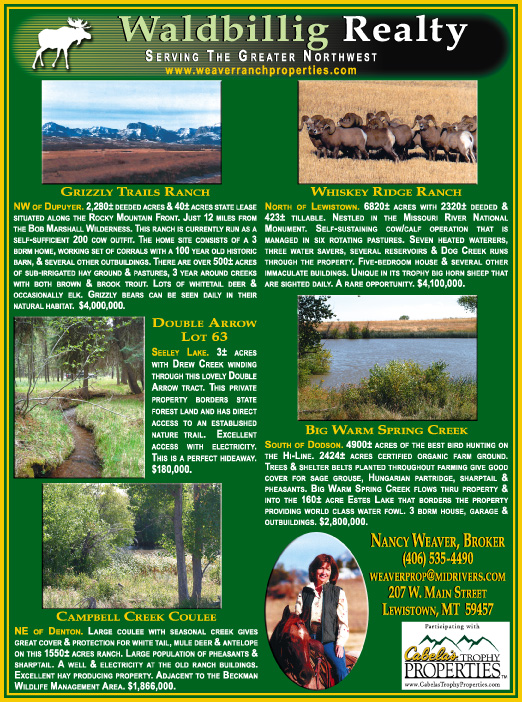 December 2007 Waldbillig Realty
									<br>
									Page 06
									&nbsp;&nbsp;&diams;&nbsp;&nbsp;
									7&frac14;"W x 9&frac34;"H<br>
									100# Coated Text Stock