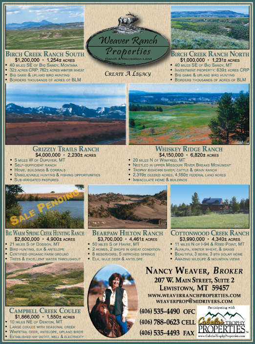 April 2008 Weaver Ranch Properties
									<br>
									Page 06
									&nbsp;&nbsp;&diams;&nbsp;&nbsp;
									7&frac14;"W x 9&frac34;"H<br>
									100# Coated Text Stock