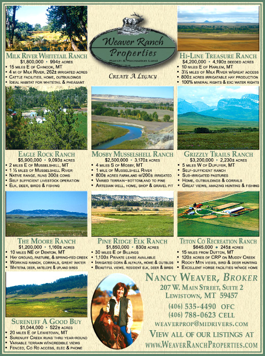 December 2008 Weaver Ranch Properties
									<br>
									Page 06
									&nbsp;&nbsp;&diams;&nbsp;&nbsp;
									7&frac14;"W x 9&frac34;"H<br>
									100# Coated Text Stock