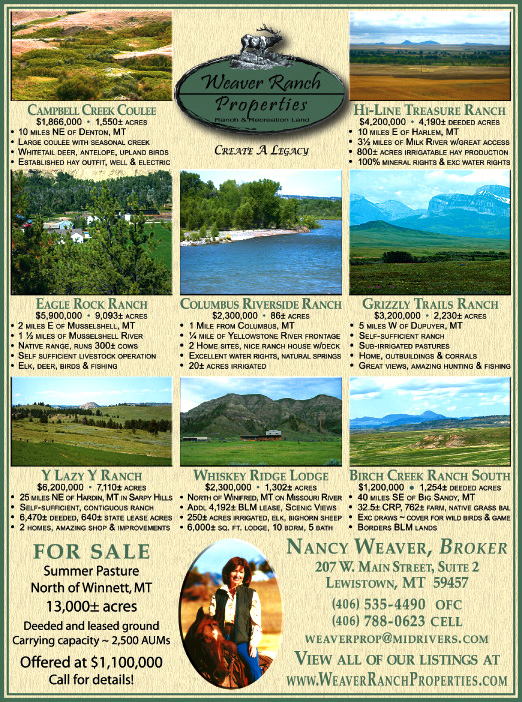 February 2009 Weaver Ranch Properties
									<br>
									Page 06
									&nbsp;&nbsp;&diams;&nbsp;&nbsp;
									7&frac14;"W x 9&frac34;"H<br>
									100# Coated Text Stock