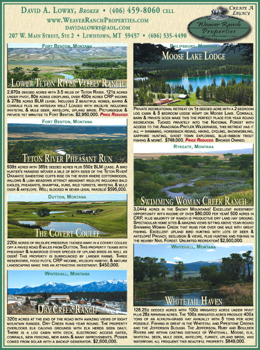 April 2009 Weaver Ranch Properties
									<br>
									Page 07
									&nbsp;&nbsp;&diams;&nbsp;&nbsp;
									7&frac14;"W x 9&frac34;"H<br>
									100# Coated Text Stock