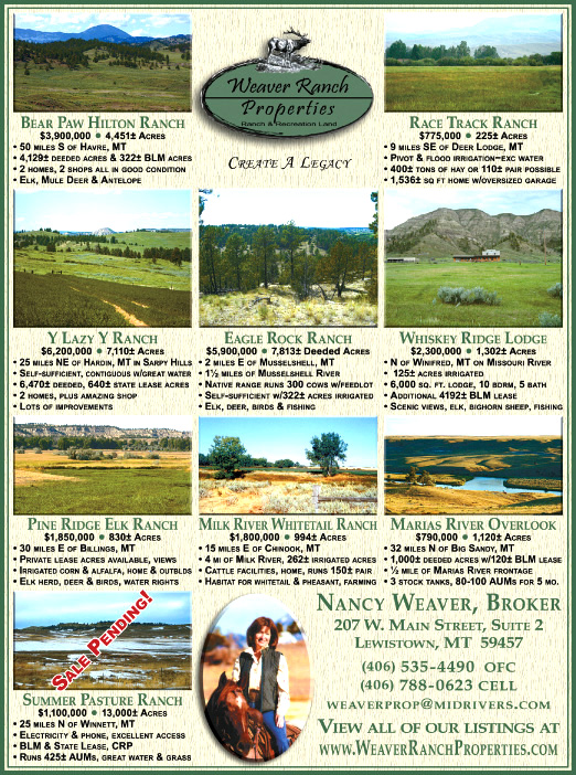 June 2009 Weaver Ranch Properties
									<br>
									Page 06
									&nbsp;&nbsp;&diams;&nbsp;&nbsp;
									7&frac14;"W x 9&frac34;"H<br>
									100# Coated Text Stock